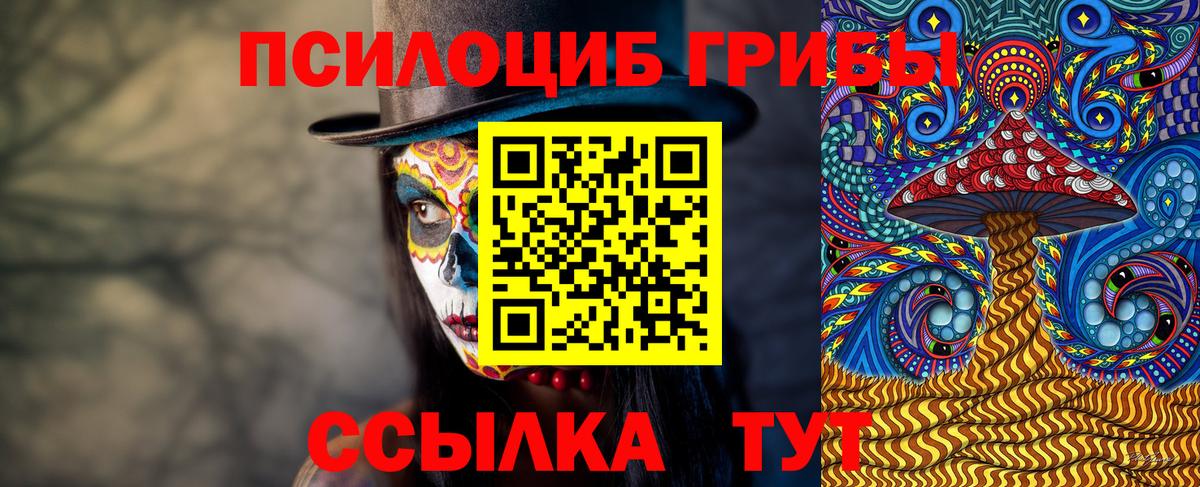 Псилоцибиновые грибы GOLDEN TEACHER Дубна