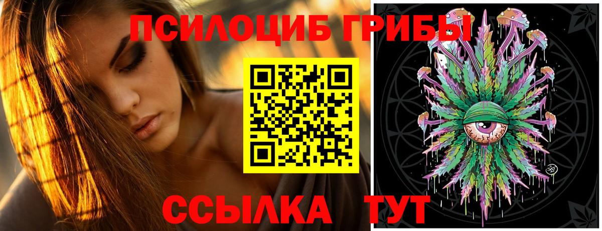 наркота  Галлюциногенные грибы мухоморы  Псилоцибиновые грибы MAGIC MUSHROOMS  Вход с VPN  Дубна 